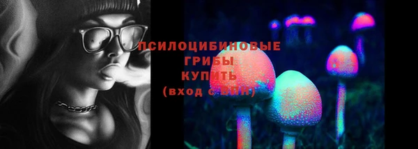 метамфетамин Покачи