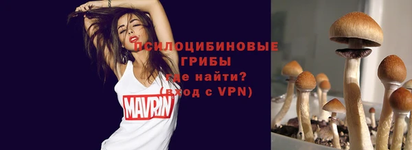 прущий лед Осинники
