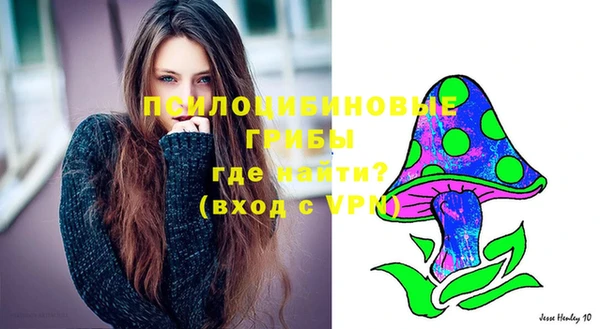 дживик Остров