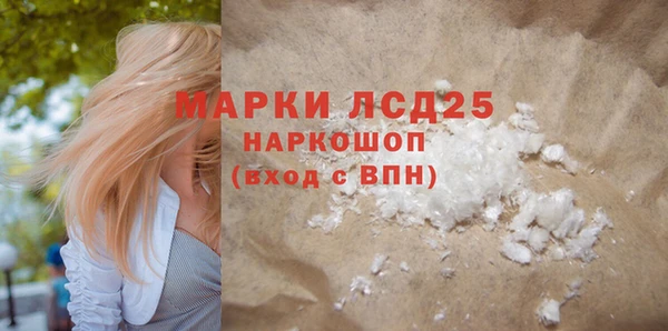индика Няндома