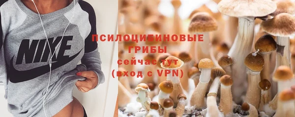 дживик Остров