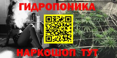 гидра Балашиха