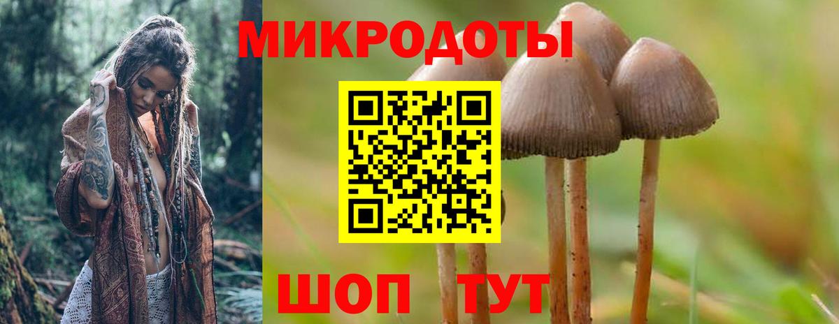 Богородицк  Галлюциногенные грибы GOLDEN TEACHER  наркошоп  Вход с VPN 